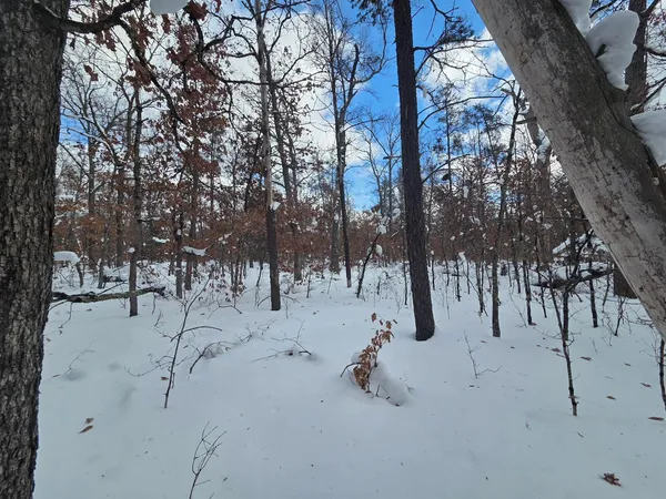 $11,500 | V/l South Astor Road, Baldwin, MI 49304