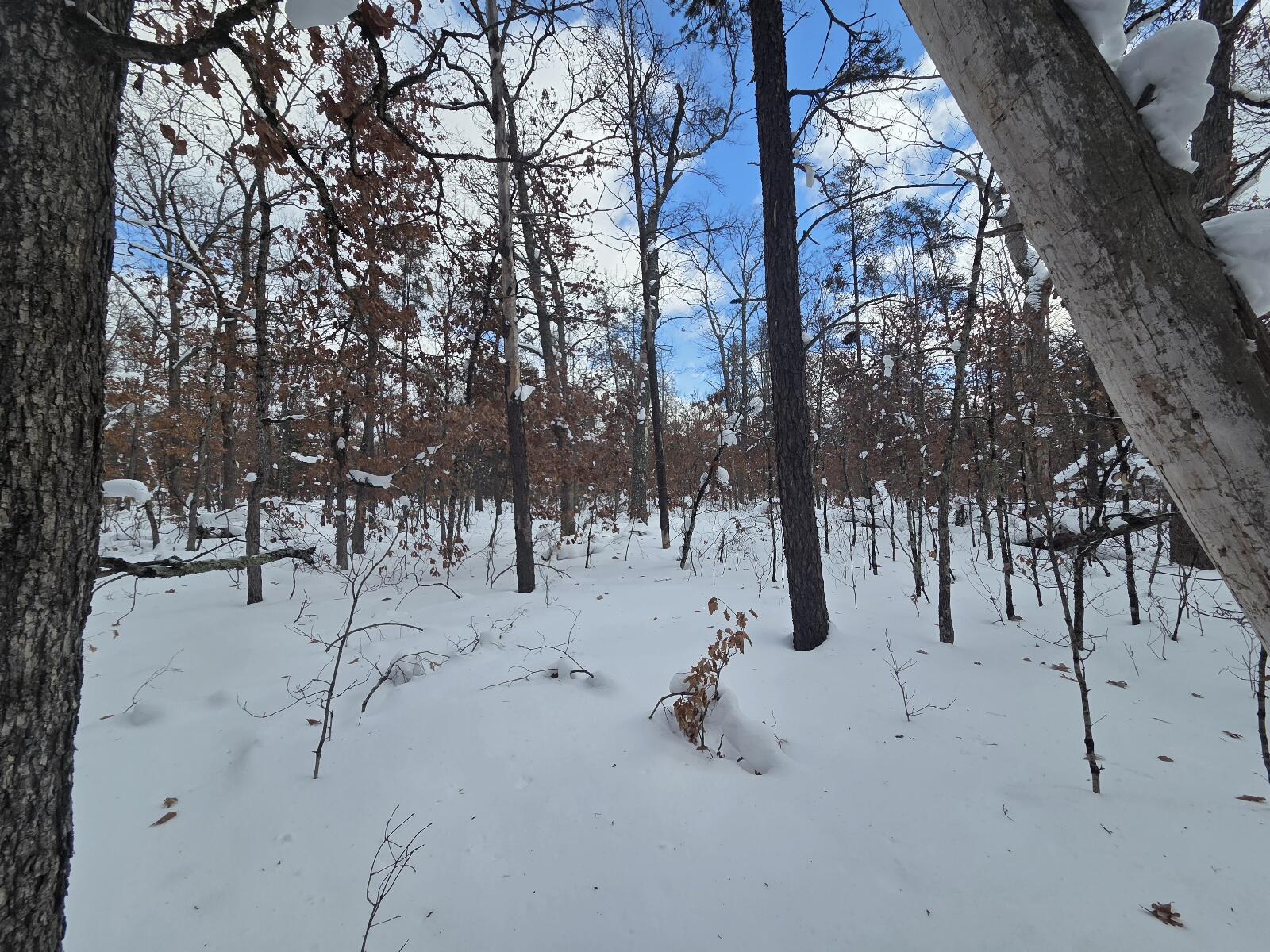 V/l South Astor Road Baldwin, MI 49304 - Photo 3 of 4 20260206_144729