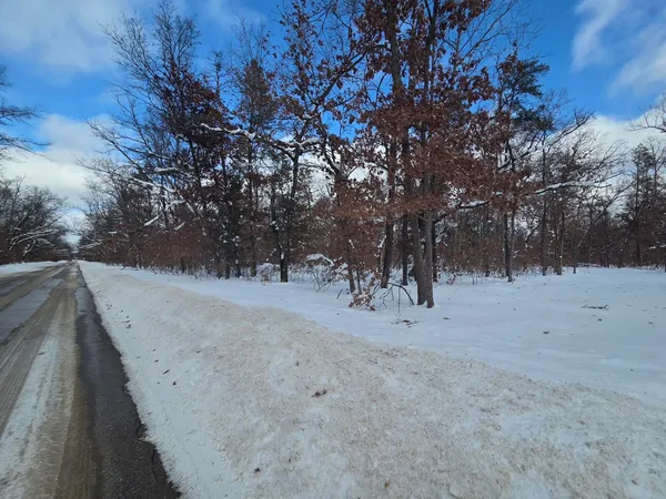 $11,500 | V/l South Astor Road, Baldwin, MI 49304