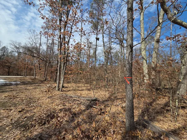 $11,500 | V/l South Astor Road, Baldwin, MI 49304