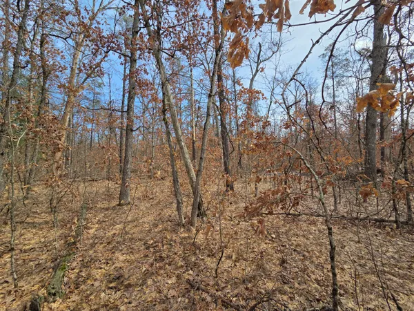 $11,500 | V/l South Astor Road, Baldwin, MI 49304