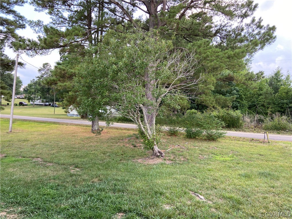12207 Baltimore Road Ford, VA 23850 - Photo 23 of 24 a view of yard with tree