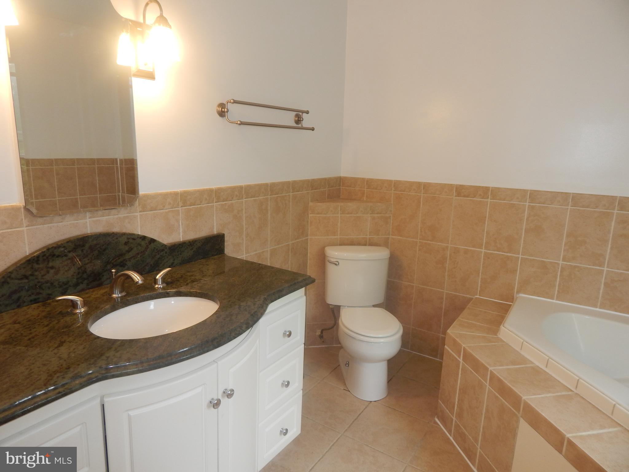 29 Baltimore Street Spring Grove, PA 17362 - Photo 19 of 32 Master Bathroom