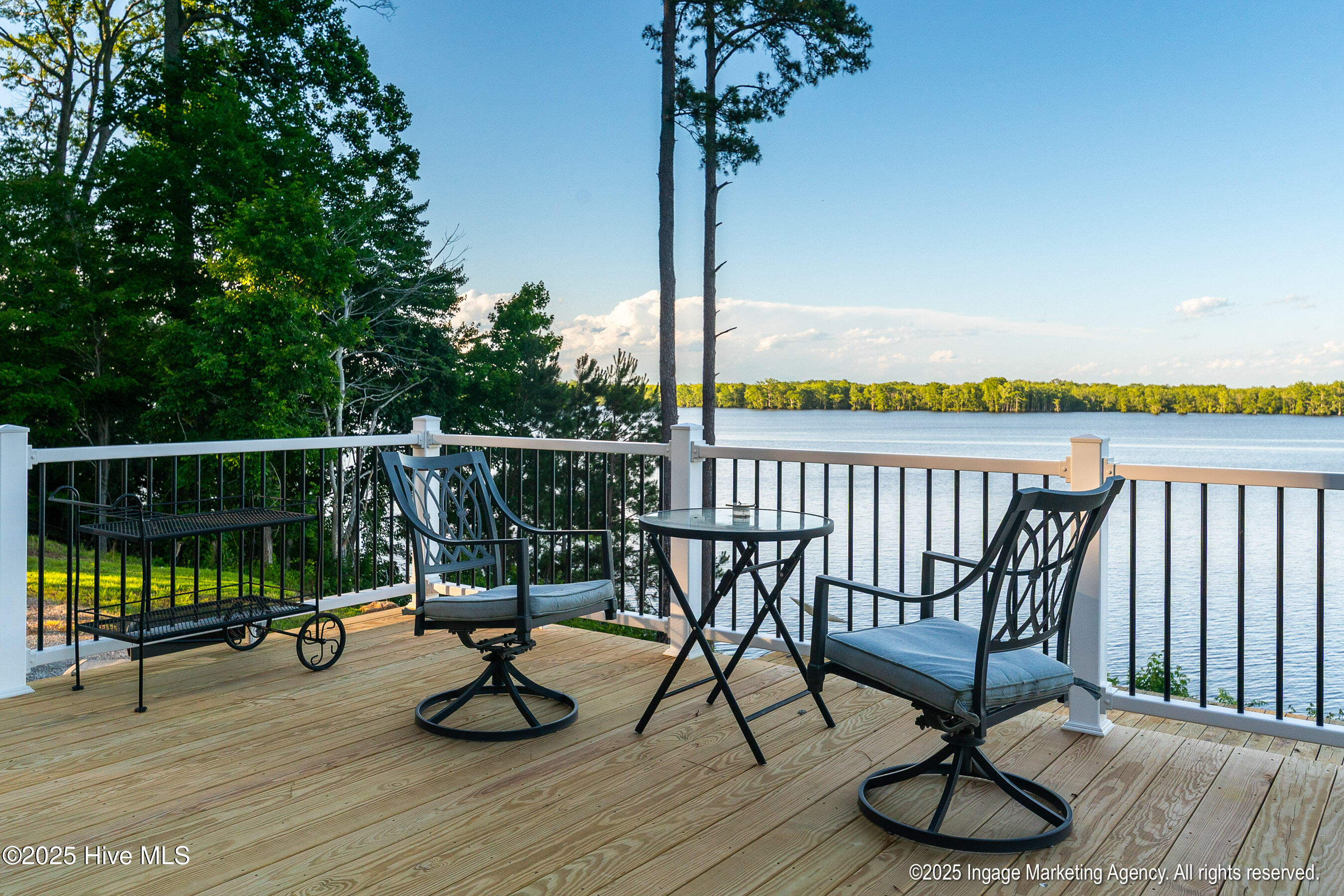 809 Swain Mill Road Harrellsville, NC 27942 - Photo 9 of 41 20250522 MLS M_Whitehead 809 Swains Mill