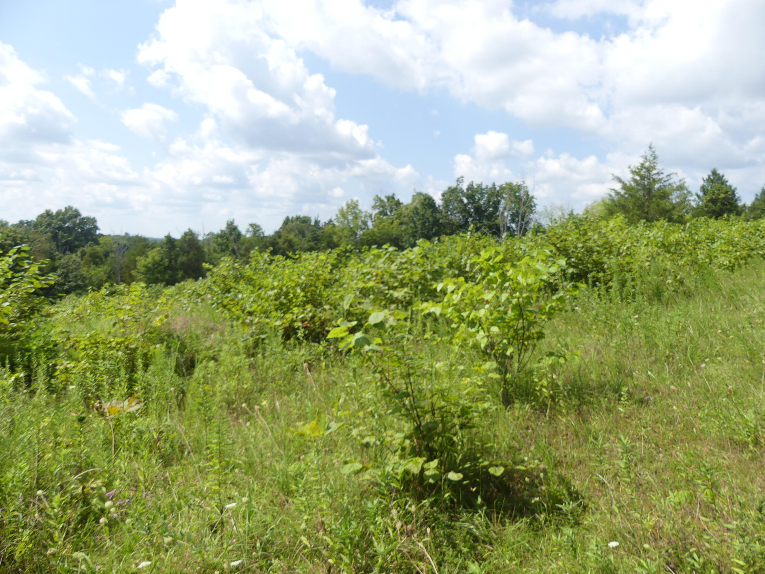 1040 Delaney Road Lawrenceburg, KY 40342 - Photo 46 of 55 P1020054