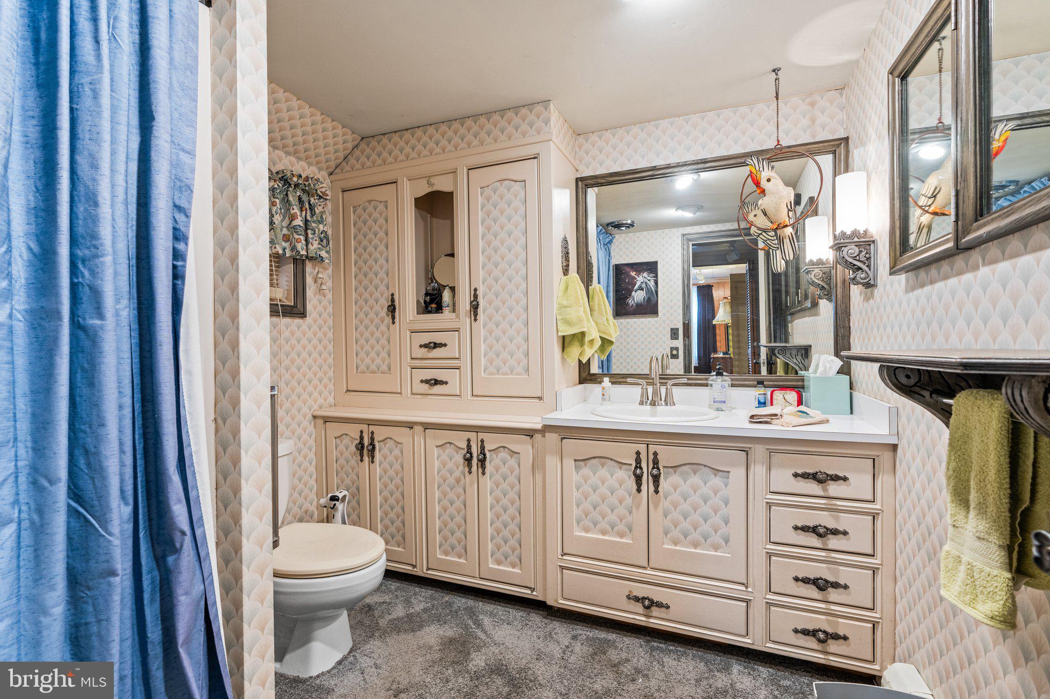 1080 Georgetown Road Paradise, PA 17562 - Photo 31 of 59 First floor master bath