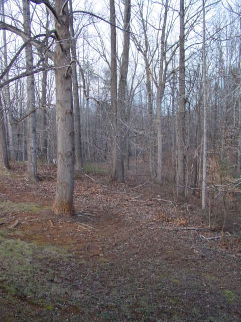 3276 Thomasson Mill Road Goodview, VA 24095 - Photo 13 of 16 Outdoor View