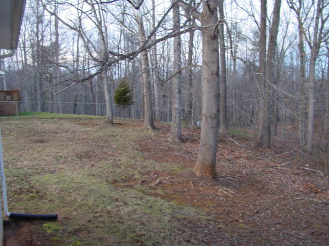 3276 Thomasson Mill Road Goodview, VA 24095 - Photo 14 of 16 Outdoor View (2)