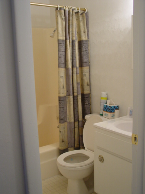 3276 Thomasson Mill Road Goodview, VA 24095 - Photo 8 of 16 Bathroom