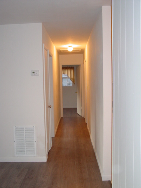 3276 Thomasson Mill Road Goodview, VA 24095 - Photo 9 of 16 Hallway
