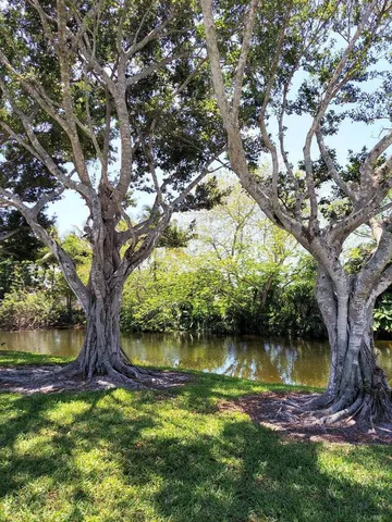a backyard of a house with lots of green space