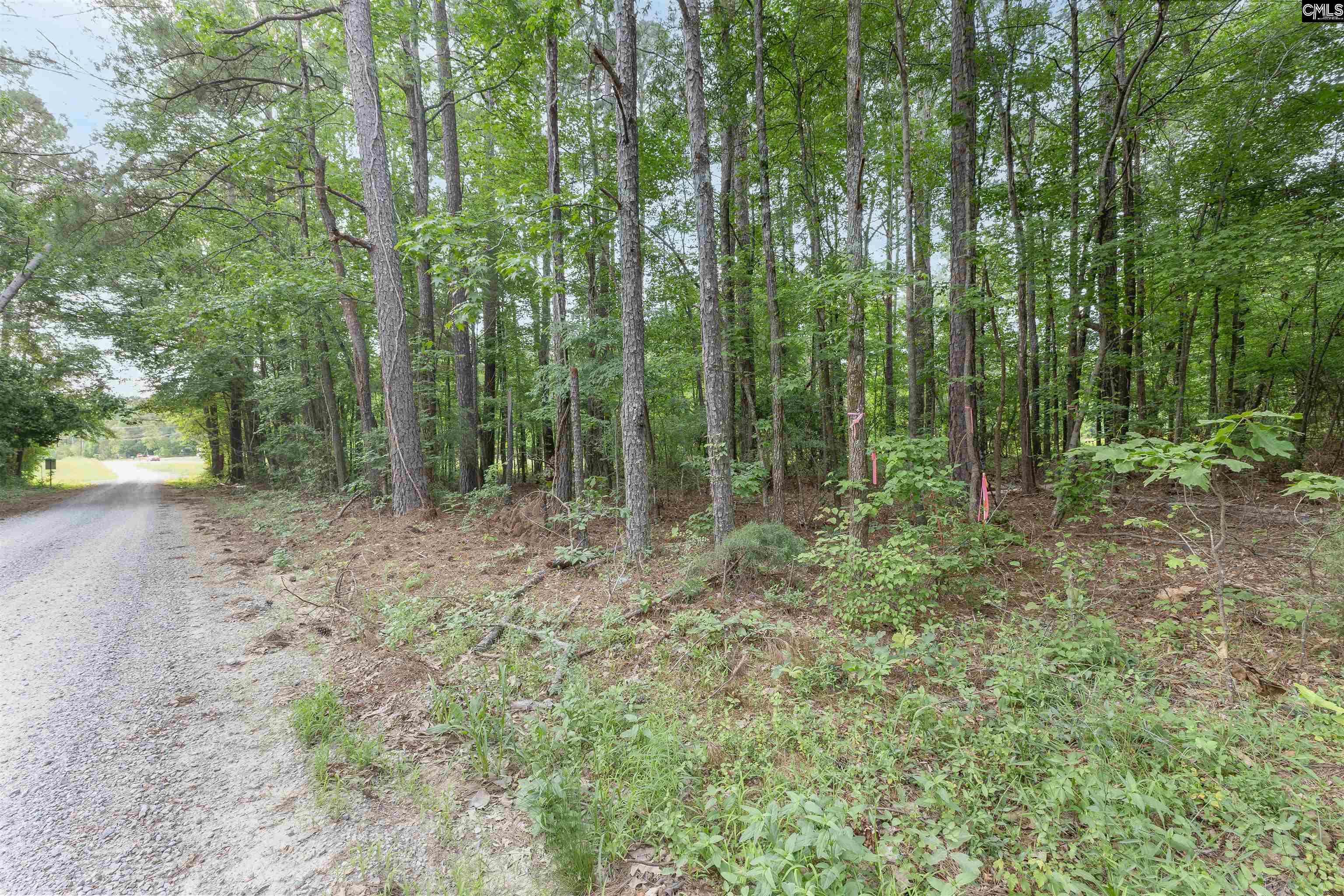 Tbd St Peters Church Road Chapin, SC 29036 - Photo 4 of 7