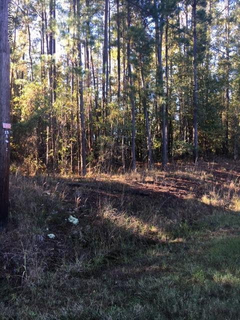3 Henderson Road Macon, GA 31217 - Photo 1 of 4 Tract 3 Henderson Rd