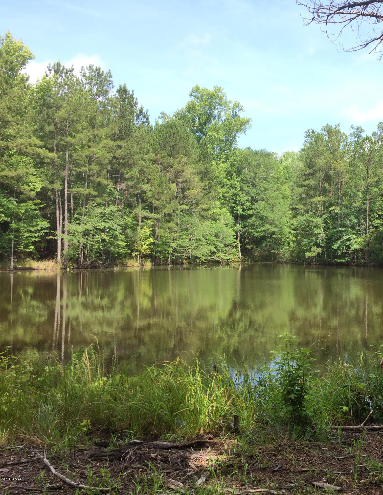 3 Henderson Road Macon, GA 31217 - Photo 2 of 4 HendersonRd Pond