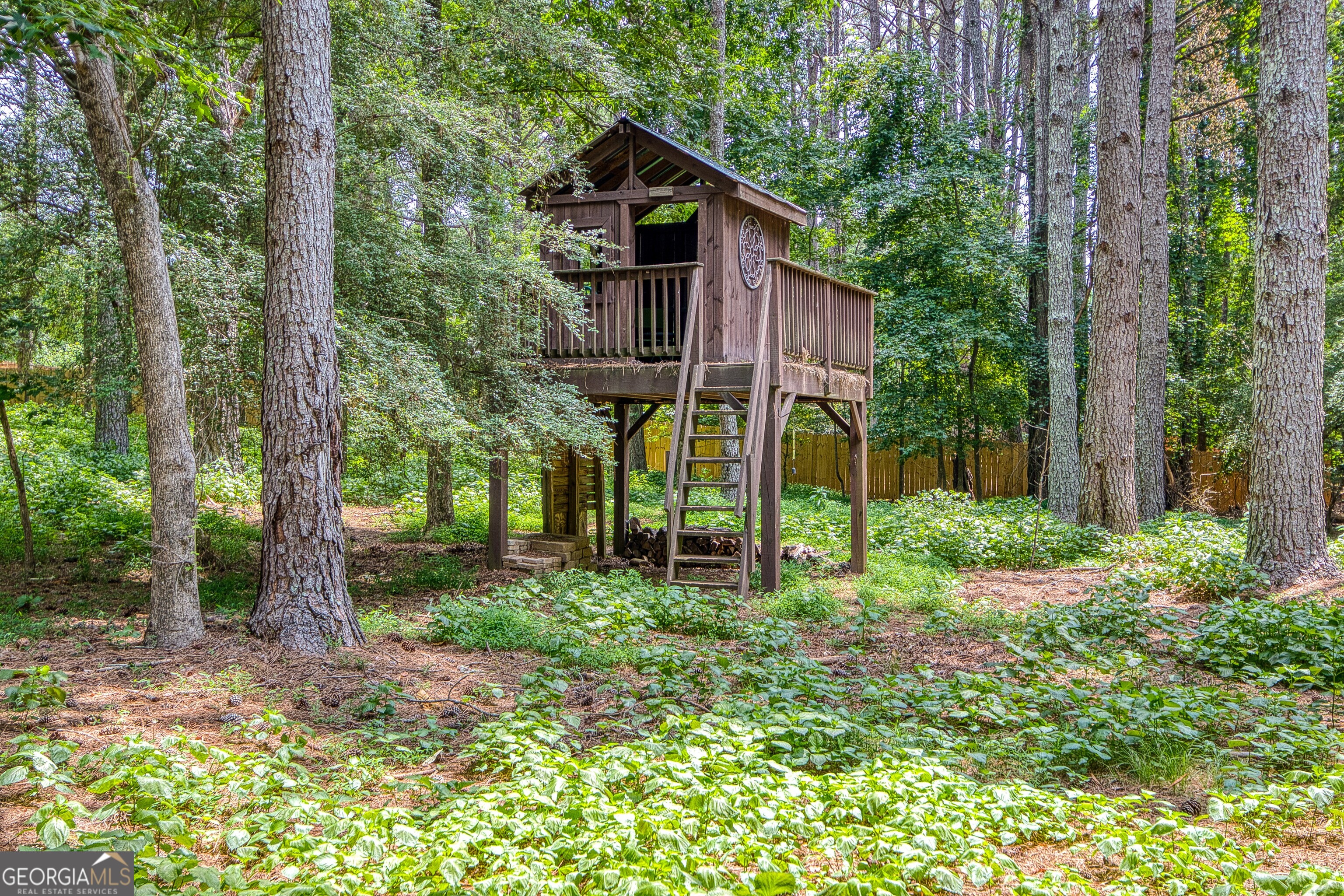 105 Trotters Ridge Fayetteville, GA 30215 - Photo 46 of 56