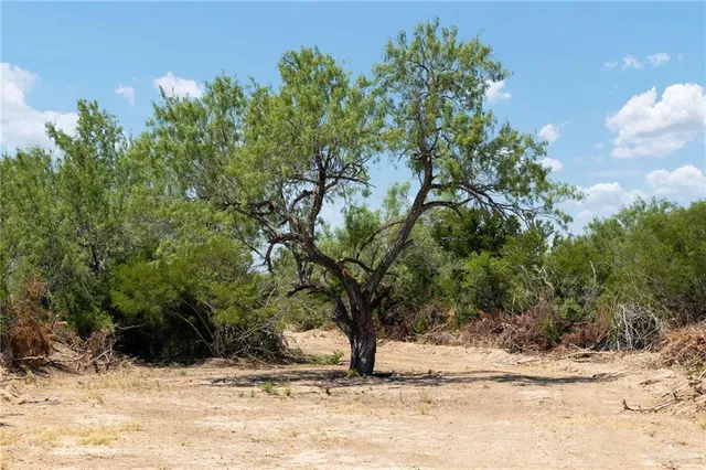 a view of a yard covered with snow in the background