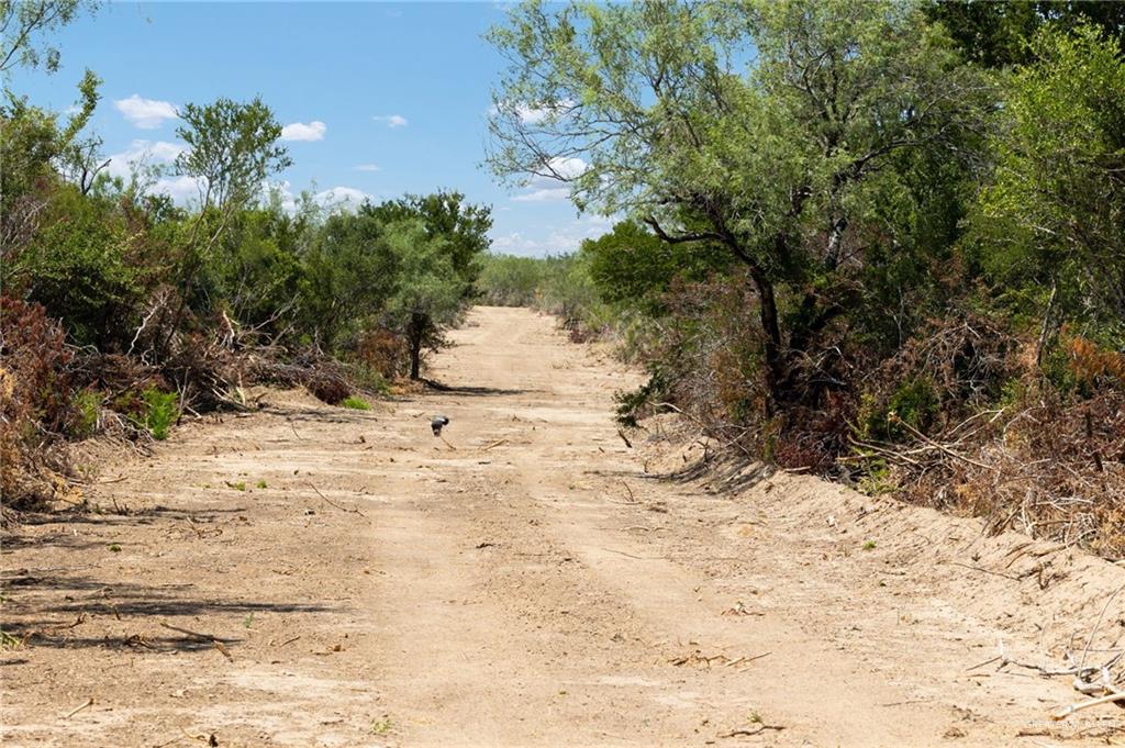 Tbd Los Lobos Road Roma, TX 78584 - Photo 13 of 28 a view of a yard covered in snow