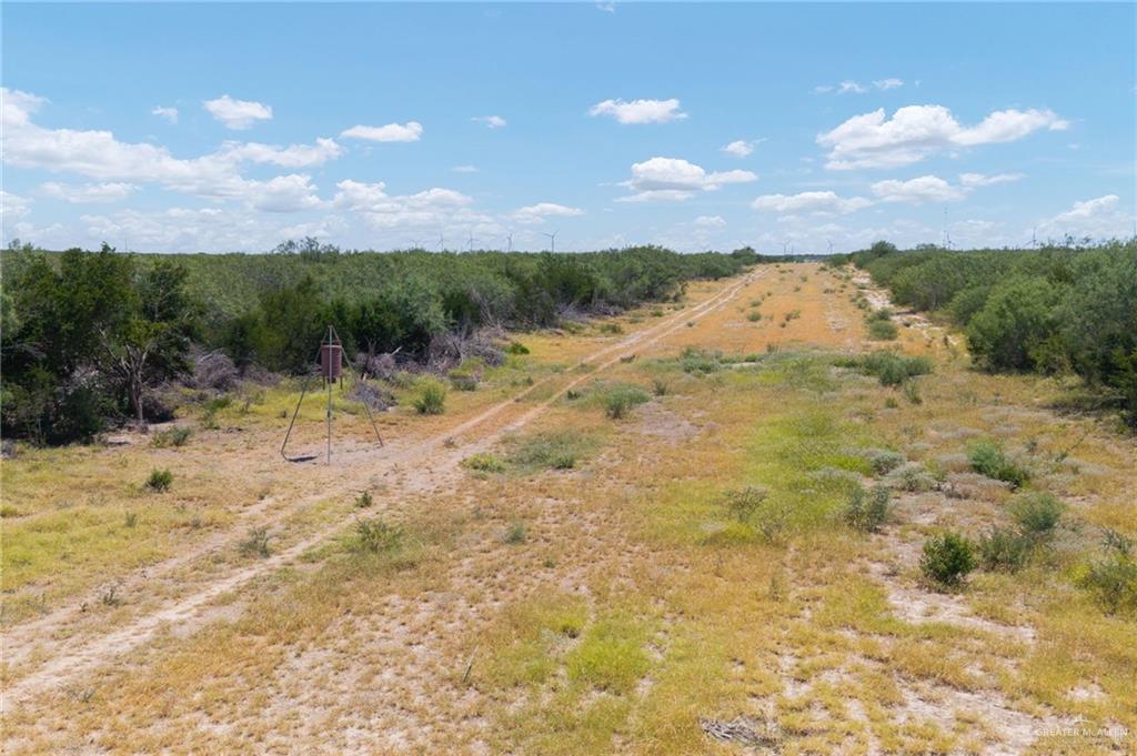 Tbd Los Lobos Road Roma, TX 78584 - Photo 15 of 28 a view of a lake view