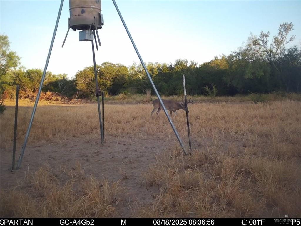 Tbd Los Lobos Road Roma, TX 78584 - Photo 23 of 28