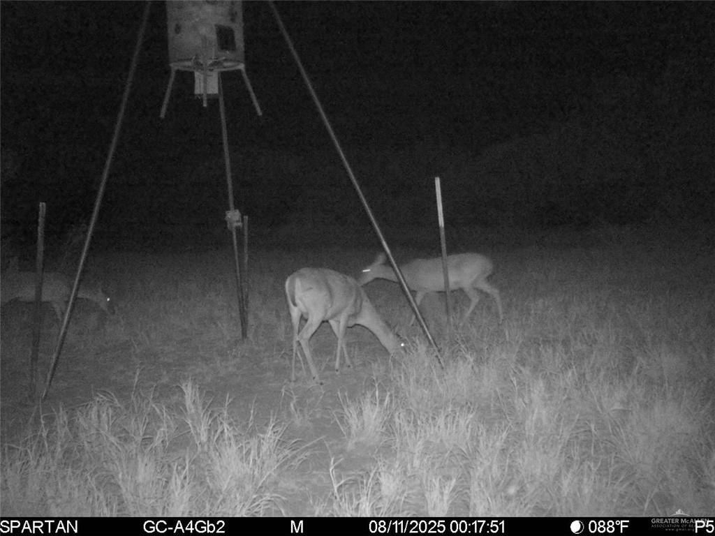 Tbd Los Lobos Road Roma, TX 78584 - Photo 24 of 28