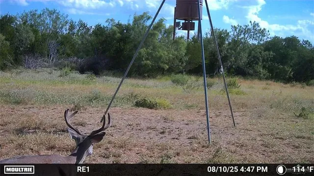 $440,200 | Tbd Los Lobos Road, Roma, TX 78584