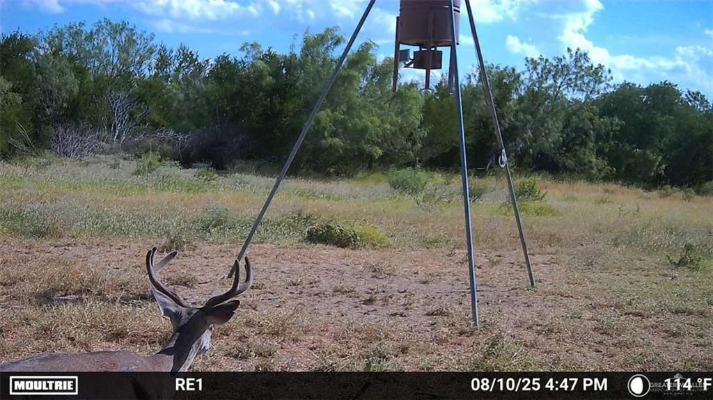 Tbd Los Lobos Road Roma, TX 78584 - Photo 26 of 28 a view of a park