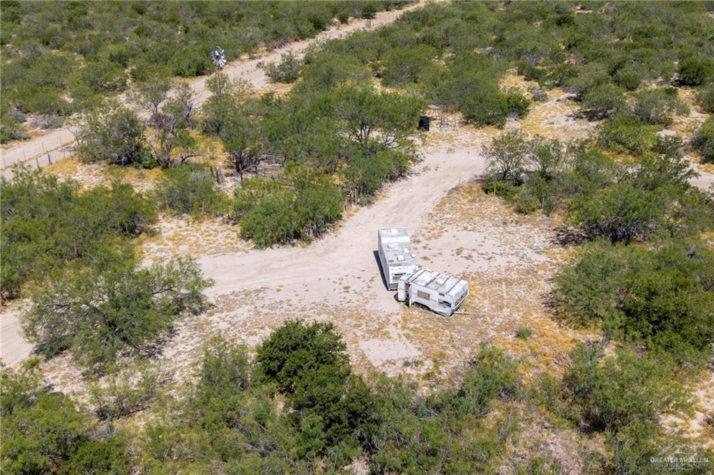 Tbd Los Lobos Road Roma, TX 78584 - Photo 3 of 28 a view of a yard with plants