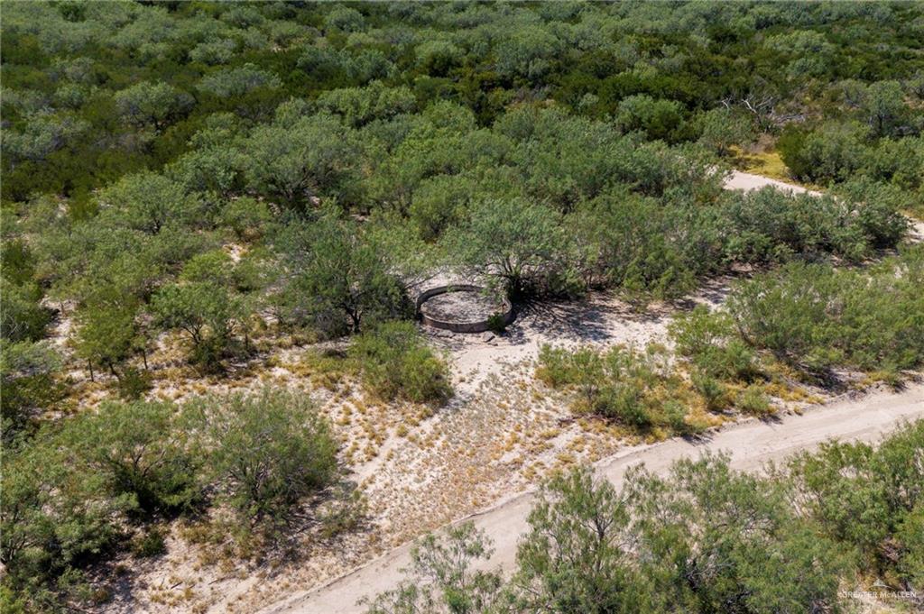 Tbd Los Lobos Road Roma, TX 78584 - Photo 4 of 28 a view of an outdoor space and a yard