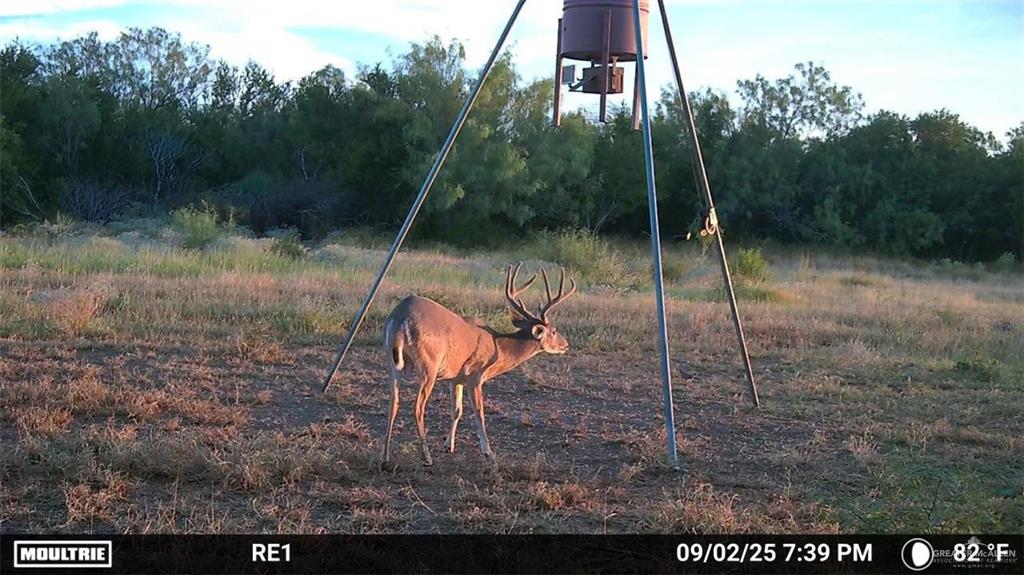 Tbd Los Lobos Road Roma, TX 78584 - Photo 6 of 28 a view of outdoor space