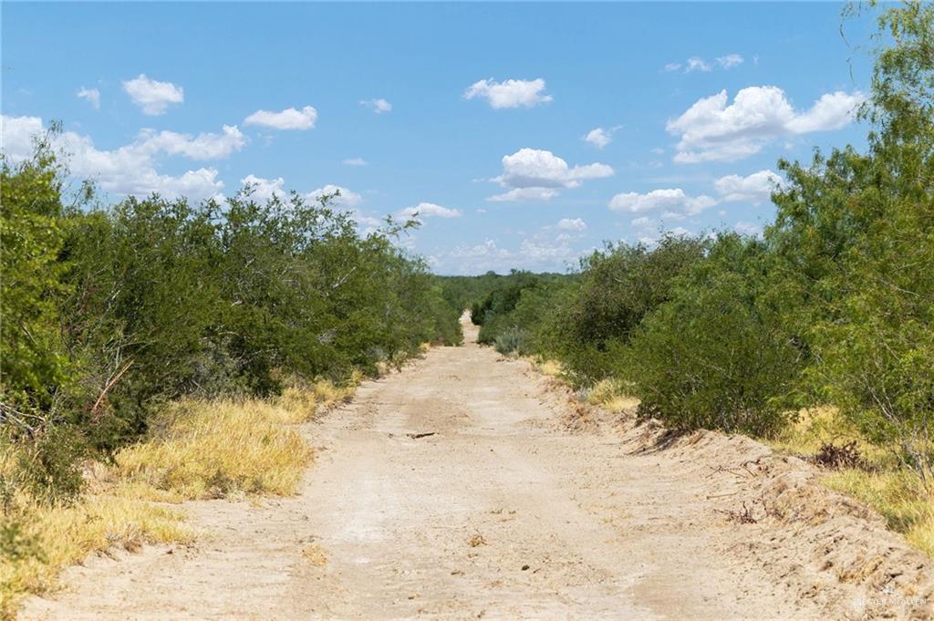 Tbd Los Lobos Road Roma, TX 78584 - Photo 10 of 28 a view of a yard with a tree