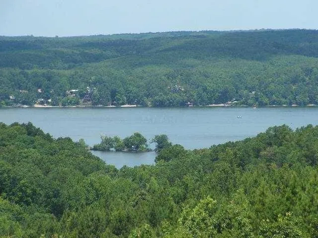 an aerial view of green landscape with trees houses and lake view