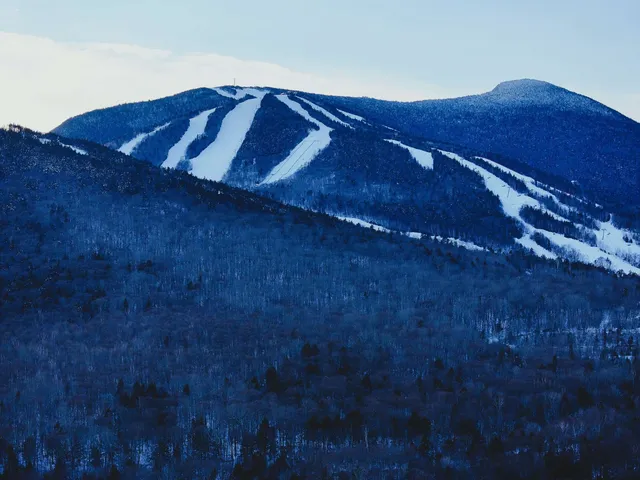 $936 | 46 Packard's Road, Unit 101 WEEK 01, Waterville Valley, NH 03215