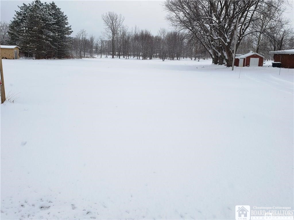 0 Berry Road Pomfret, NY 14063 - Photo 1 of 1 Gallery Image 1