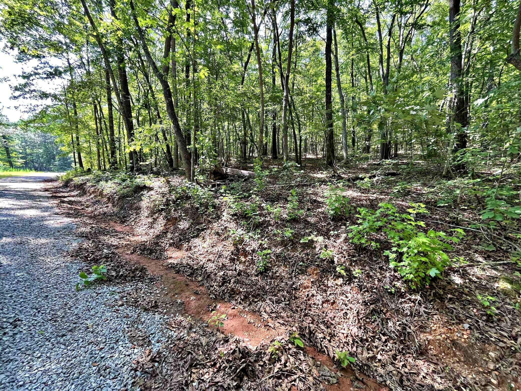2 Raby Hollow Road Kingston, TN 37763 - Photo 7 of 13