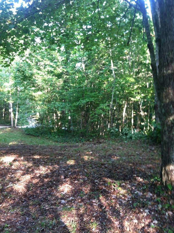 9999 Coon Club Road McKee, KY 40447 - Photo 5 of 6 Photo 5