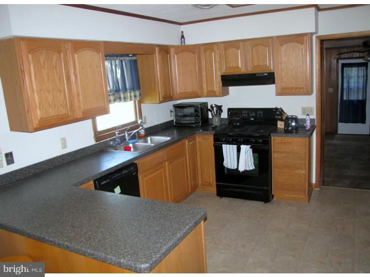 1067 Hourglass Road Hartly, DE 19953 - Photo 3 of 17 Kitchen