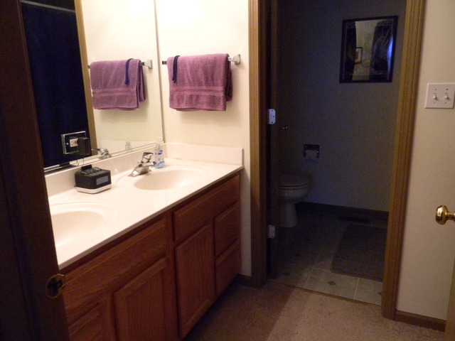 277 Grand Ridge Road, Unit 277 St. Charles, IL 60175 - Photo 11 of 13 a bathroom with a sink vanity and a mirror