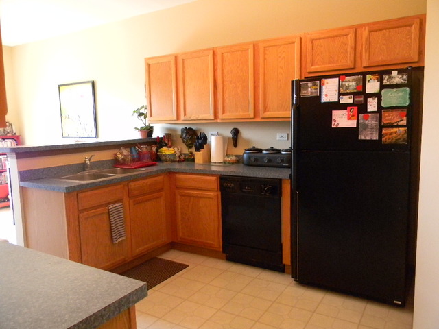 277 Grand Ridge Road, Unit 277 St. Charles, IL 60175 - Photo 7 of 13 a kitchen with stainless steel appliances granite countertop a refrigerator and a sink