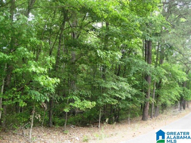 0 Sulphur Springs Road, Unit 10 ACRES Lincoln, AL 35096 - Photo 16 of 32