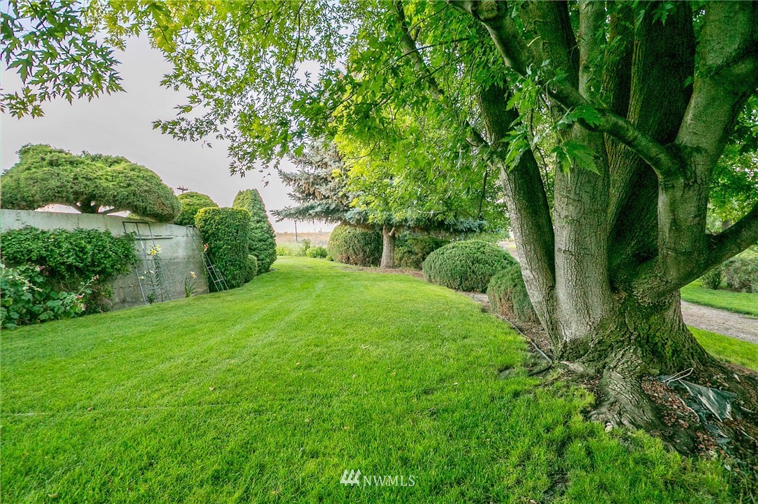 246 Rd U Southeast Warden, WA 98857 - Photo 8 of 25