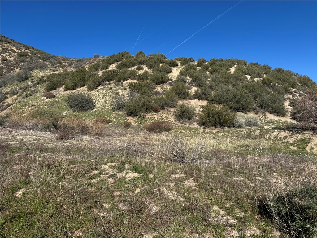 0 Munz Ranch Road Lake Hughes, CA 93532 - Photo 2 of 3 a view of a large mountain with mountains in the background
