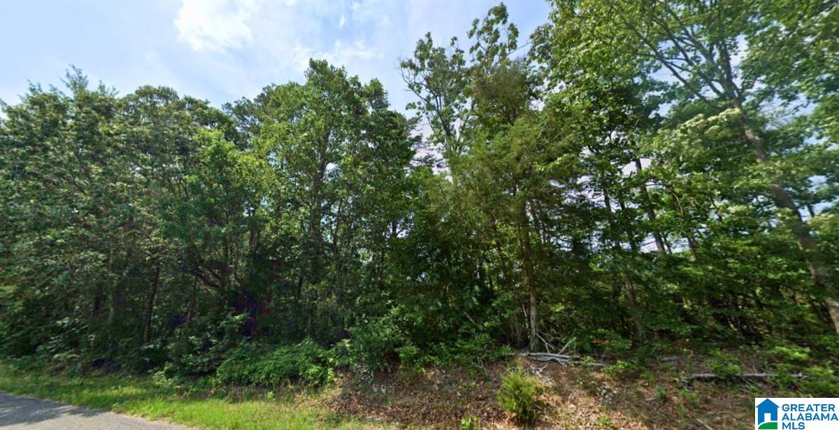20 County Road Haleyville, AL 35565 - Photo 3 of 17