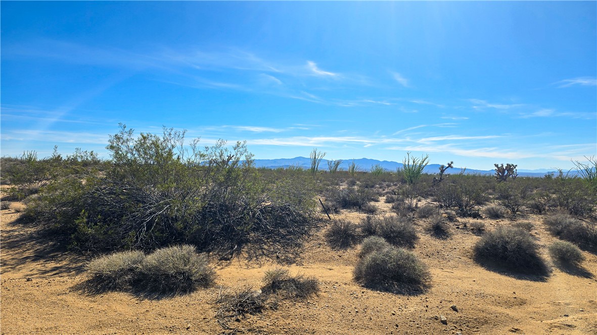 245-21-008 South Ray Road Yucca, AZ 86438 - Photo 11 of 19