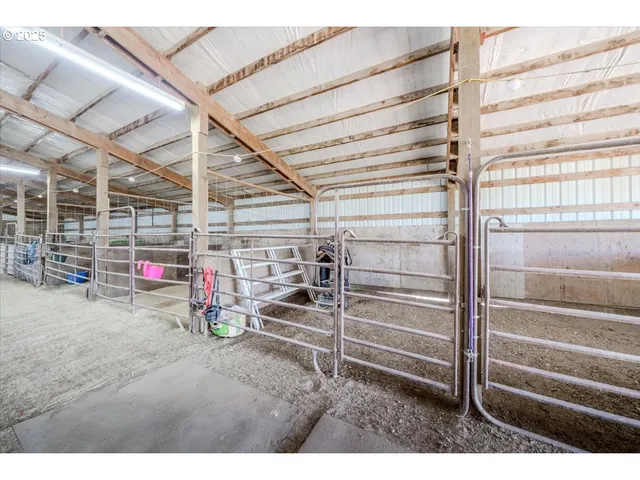 a black and white photo of a lake