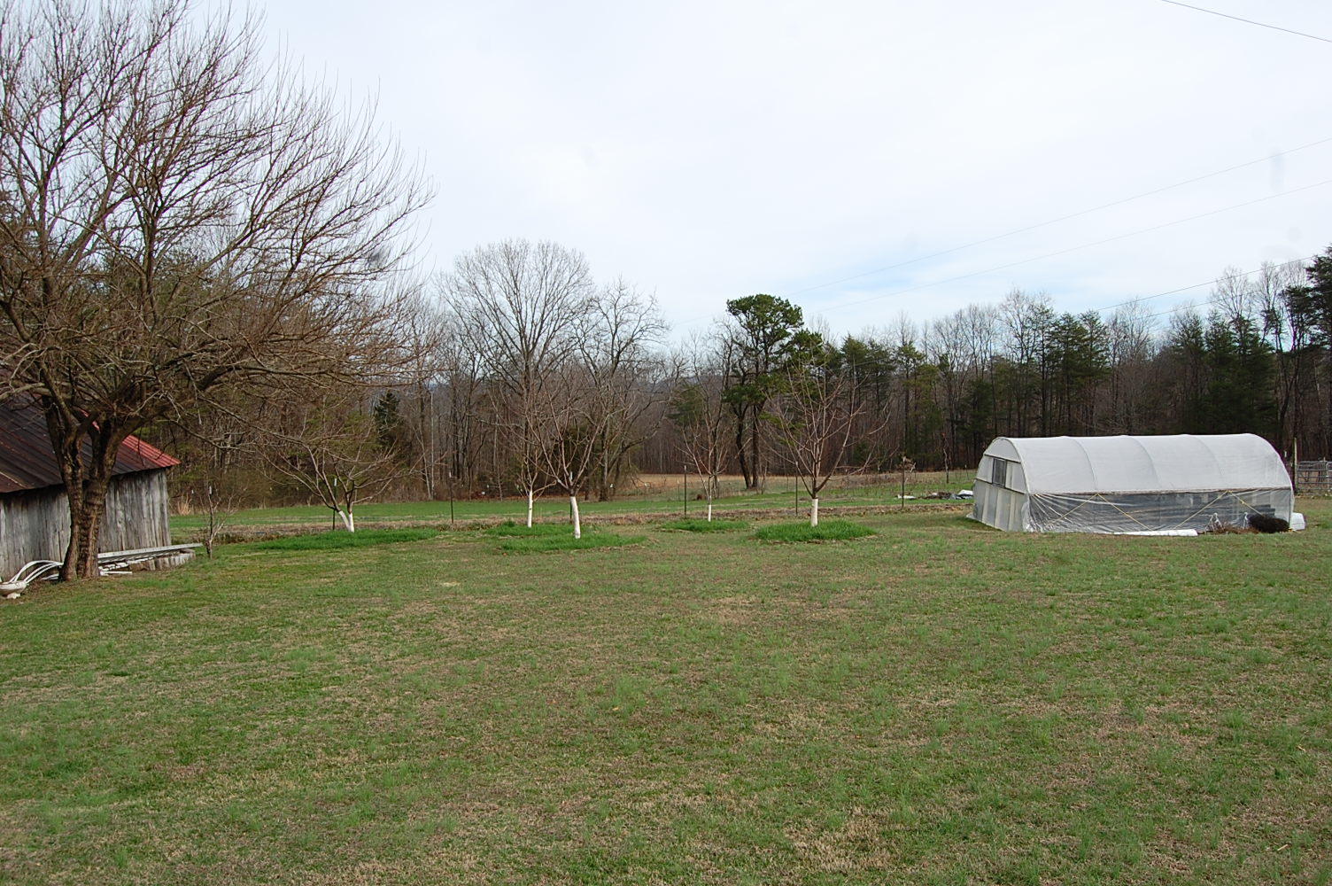 678 Wheeler Road Dunlap, TN 37327 - Photo 13 of 55 1311910 - 678 Wheeler Rd 013