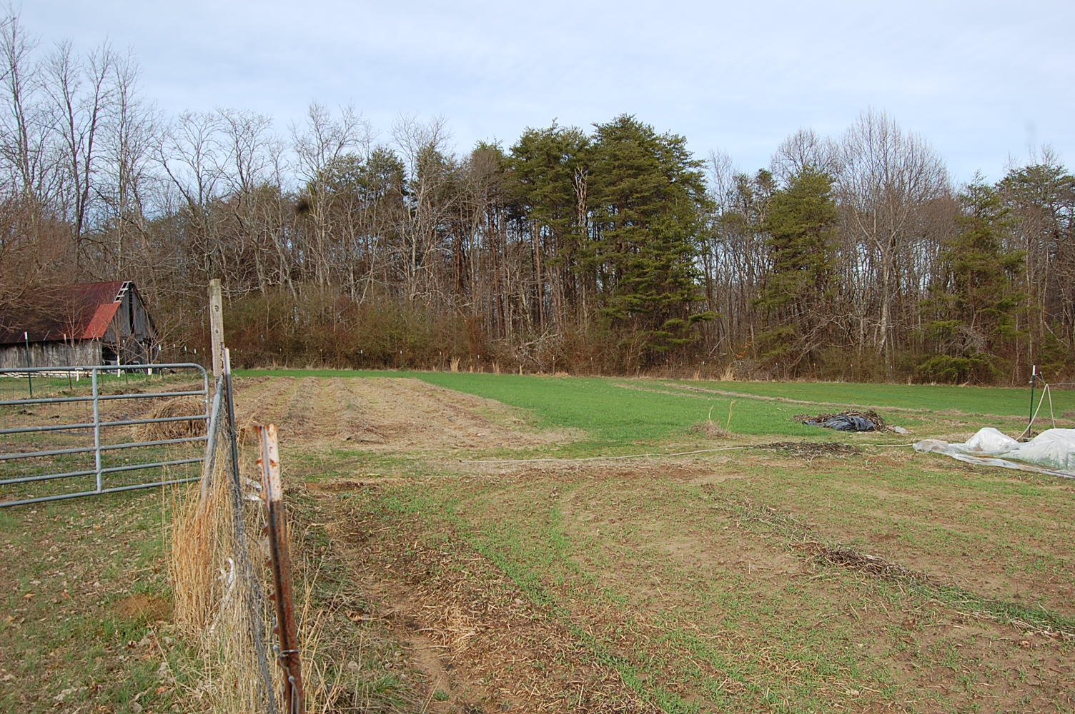 678 Wheeler Road Dunlap, TN 37327 - Photo 14 of 55 1311910 - 678 Wheeler Rd 014