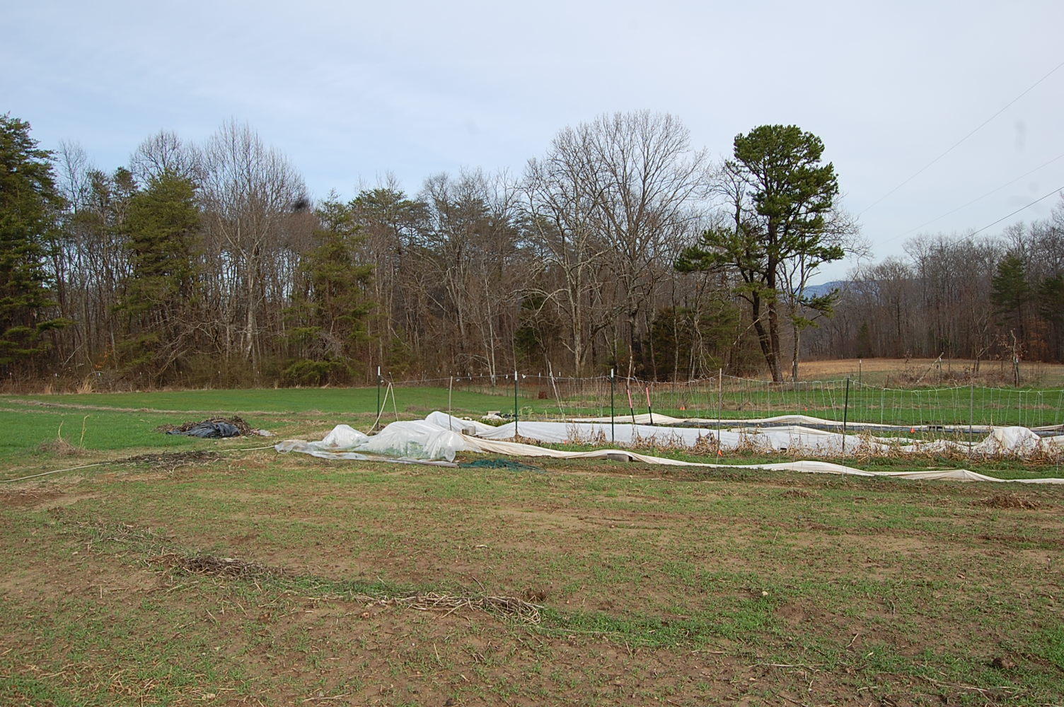 678 Wheeler Road Dunlap, TN 37327 - Photo 15 of 55 1311910 - 678 Wheeler Rd 015