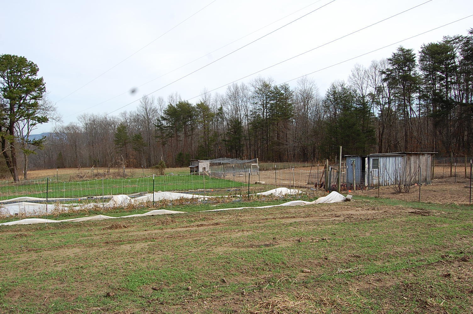 678 Wheeler Road Dunlap, TN 37327 - Photo 16 of 55 1311910 - 678 Wheeler Rd 016
