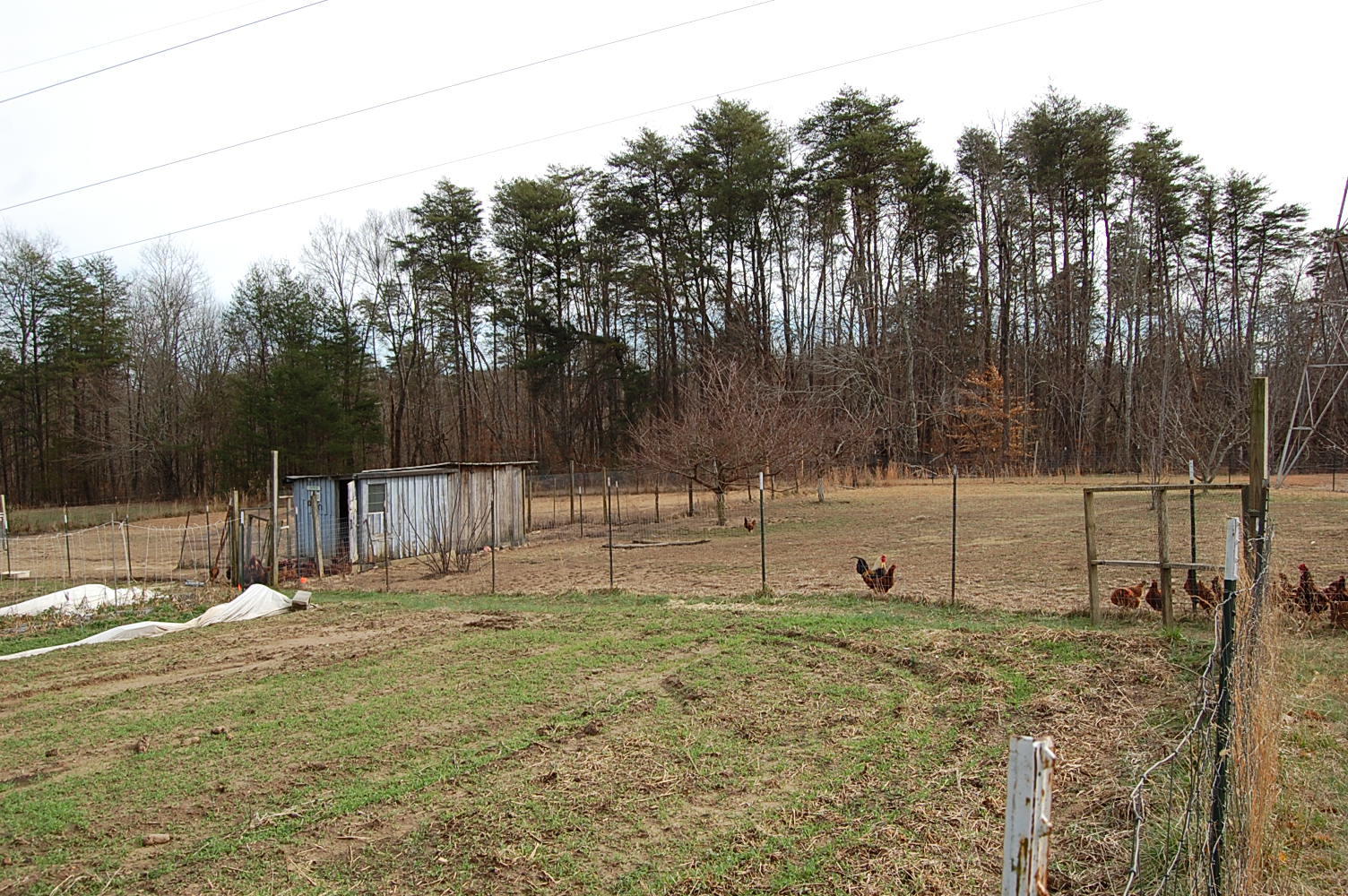678 Wheeler Road Dunlap, TN 37327 - Photo 17 of 55 1311910 - 678 Wheeler Rd 017