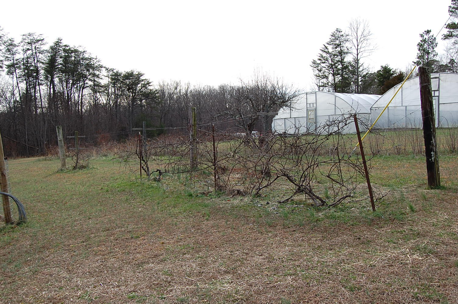 678 Wheeler Road Dunlap, TN 37327 - Photo 18 of 55 1311910 - 678 Wheeler Rd 018